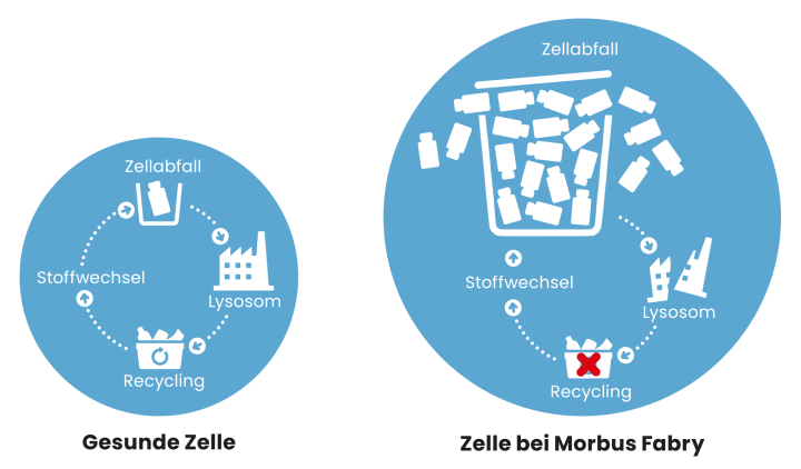 Grafik Gesunde vs Fabry Zelle